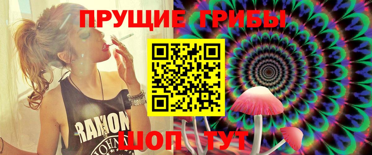 Галлюциногенные грибы Psilocybe Артём