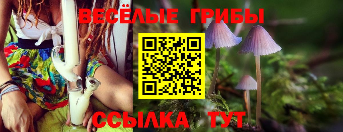 Артём  Галлюциногенные грибы Psilocybe  Вход с VPN  Галлюциногенные грибы MAGIC MUSHROOMS 